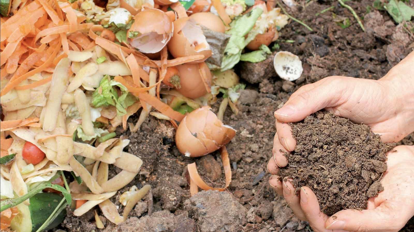 Back to Earth Compost SHIFT
